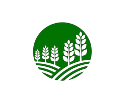 Ícone 1